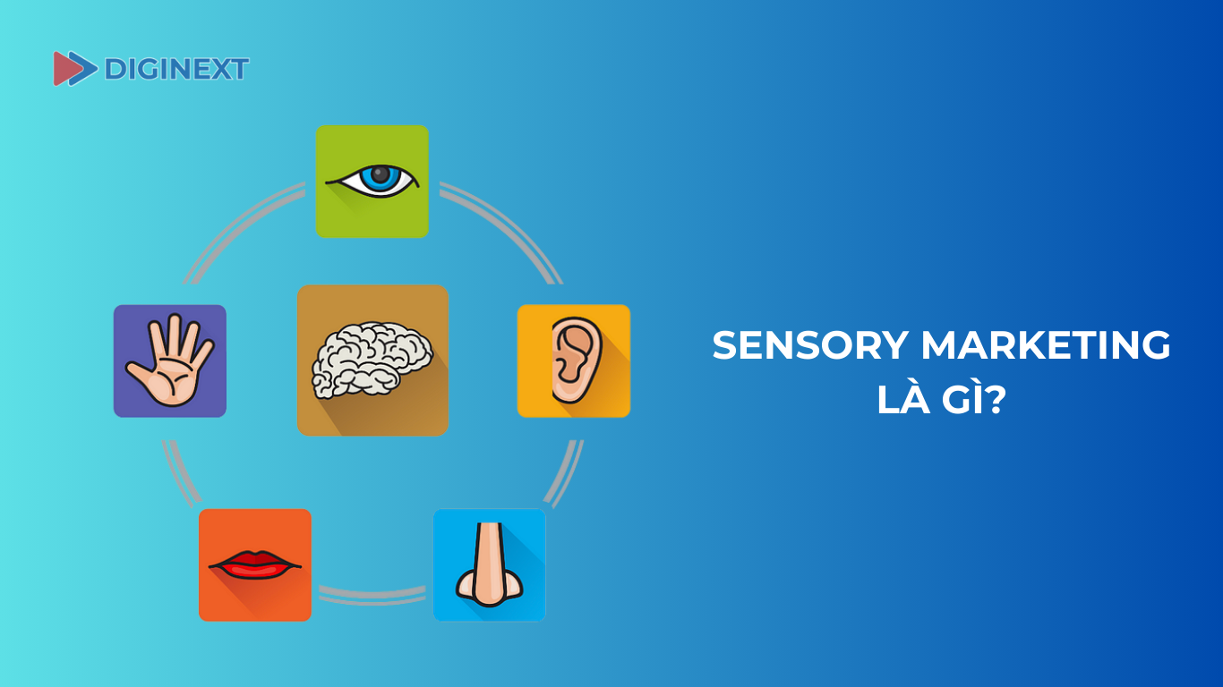 Sensory-marketing-la-gi